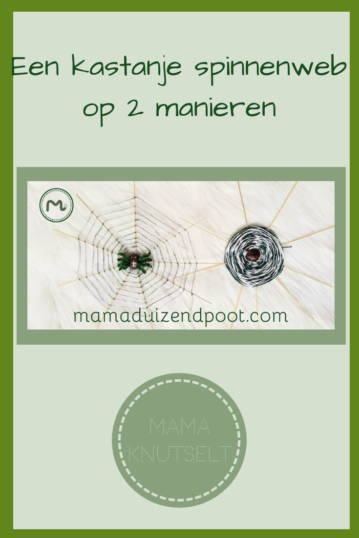 Een Kastanje Spinnenweb Op 2 Manieren – Mama Duizendpoot