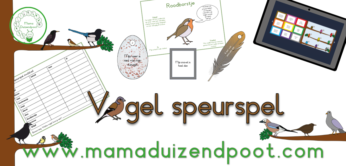 Vogel speurspel